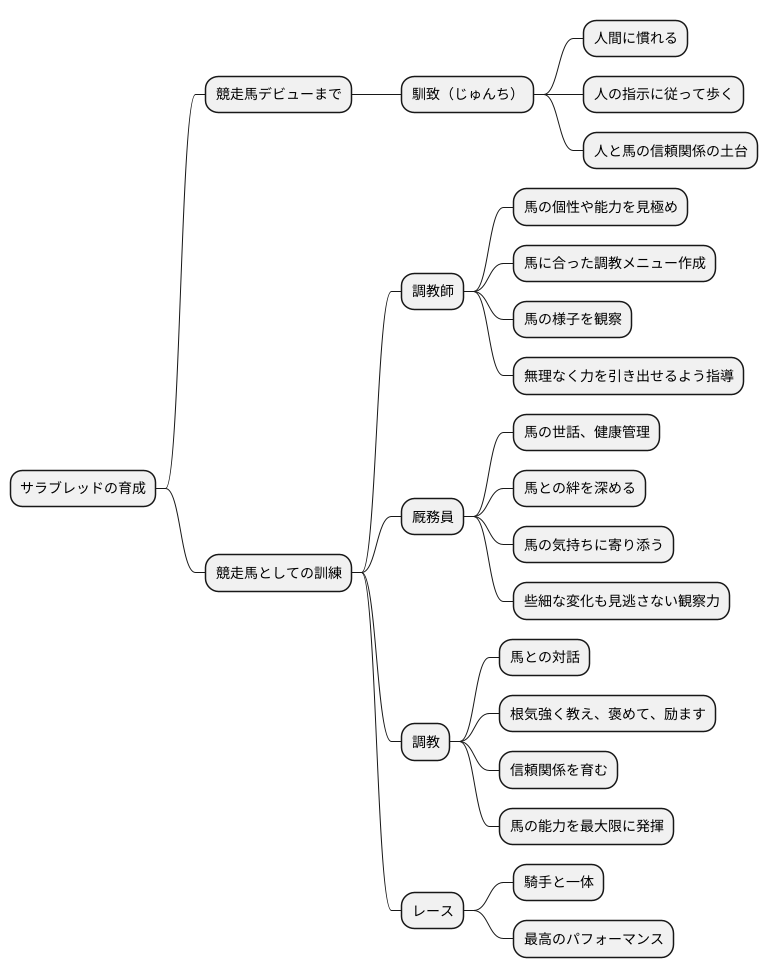 競走馬の育成は人との信頼関係